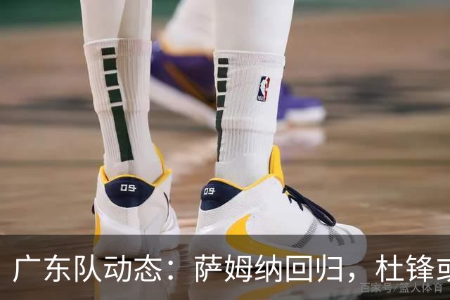 广东队动态：萨姆纳回归，杜锋或将出任国家队主教练？